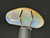 Australian Coober Pedy Solid Opal 4.70 Carat