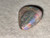 Australian Coober Pedy Opal 4.70 Carat