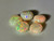 Multicolour Australian Coober Pedy Opal 5 Pc 2.70 Carat