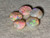 Multicolour Australian Coober Pedy Opal 5 Pc 2.70 Carat