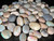 Natural Australian Coober Pedy Tumble Opal Beads 121.50 Carat