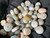 Natural Australian Faceted Cut Lightning Ridge Opal Beads 138.20 Carat