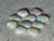 Rainbow Colorplay Australian Coober Pedy Small Opal 3.45 Carat
