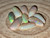 Rainbow Colorplay Australian Coober Pedy Opal 9 Pc 5.80 Carat