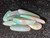 Rainbow Colorplay Australian Coober Pedy Opal 9 Pc 5.80 Carat