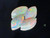 Rainbow Colorplay Australian Coober Pedy Small Opal 1.30 Carat