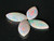 Rainbow Colorplay Australian Coober Pedy Small Opal 1.00 Carat