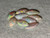 Rainbow Colorplay Australian Coober Pedy  Small Opal 2.45 Carat