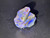 Australian Lightning Ridge Dark Small Rough Opal 9.55 Carat