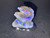 Australian Lightning Ridge Dark Small Rough Opal 9.55 Carat