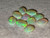 Rainbow Colorplay Australian Coober Pedy Small Opal 3.35 Carat