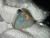 Sterling Silver Australian Coober Pedy Natural Solid Opal Pendant