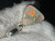 Sterling Silver Australian Coober Pedy Natural Solid Opal Pendant