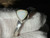 Natural Australian Coober Pedy Opal Ring 13.35 Carat