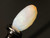 Oval Cut Faceted Australian Opal 9.10 Carat