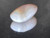 Oval Cut Faceted Australian Opal 8.30 Carat
