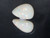 Multicolour Australian Coober Pedy Solid White Opal 4.90 Carat
