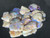 Australian Lightning Ridge Rough Opal 36.40 Carat