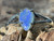 Natural Australian Coober Pedy Opal Ring 12.25 Carat