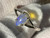 Natural Australian Coober Pedy Opal Ring 12.25 Carat