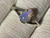 Natural Australian Coober Pedy Opal Ring 12.25 Carat