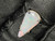 Natural Australian Coober Pedy White Opal In Sterling Silver Ring 10.75 Carat