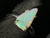 Natural Australian Coober Pedy White Opal In Sterling Silver Ring 9.90 Carat