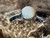 Natural Australian Coober Pedy Opal Ring 14.0 Carat