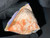 Australian Coober Pedy Natural Rough Solid Opal 161.90 Carat