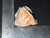 Australian Coober Pedy Natural Rough Solid Opal 161.90 Carat