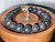 Australian Matrix Opal Round Beads Bracelet 112.50 Carat