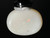 Multicolour Australian Coober Pedy Solid White Opal 15.90 Carat