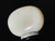 Multicolour Australian Coober Pedy Solid White Opal 15.90 Carat