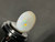 Multicolour Australian Coober Pedy Opal 1.35 Carat