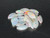 Rainbow Colorplay Australian Coober Pedy Small Opal 2.50 Carat