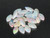 Rainbow Colorplay Australian Coober Pedy Small Opal 2.50 Carat