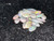 Rainbow Colorplay Australian Coober Pedy Small Opal 2.50 Carat