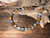 Australian Natural Handmade Boulder Opal Smooth Coin Shape  Bracelet 74.70 Carat