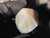 Australian Coober Pedy Natural Rough Solid Opal 321 Carat