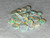 Rainbow Colorplay Australian Coober Pedy Small Opal 4.20 Carat