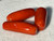 Natural Red Coral Loose Gemstone 6.55 Carat