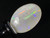 Multicolour Australian Coober Pedy Solid White Opal 7.40 Carat