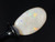 Multicolour Australian Coober Pedy Solid White Opal 10.10 Carat