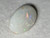 Multicolour Australian Coober Pedy Solid White Opal 10.10 Carat
