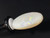 Multicolour Australian Coober Pedy Solid White Opal 10.10 Carat
