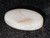 Multicolour Australian Coober Pedy Solid White Opal 9.45 Carat