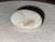 Multicolour Australian Coober Pedy Solid White Opal 9.45 Carat
