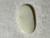 Multicolour Australian Coober Pedy Solid White Opal 4.60 Carat