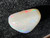 Multicolour Australian Coober Pedy Solid White Opal 7.05 Carat