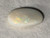 Multicolour Australian Coober Pedy Solid White Opal 6.90 Carat